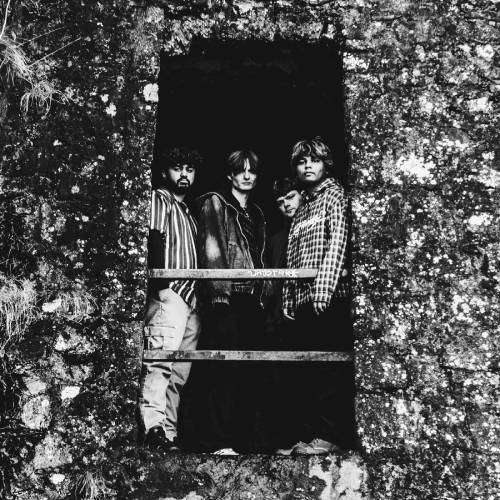 Picture Postcard photo 6