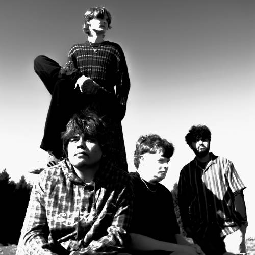 Picture Postcard photo 7