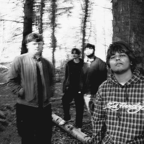 Picture Postcard photo 8